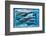 Whales and Dolphins for Kids-null-Framed Art Print