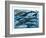 Whales and Dolphins-null-Framed Art Print