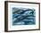 Whales and Dolphins-null-Framed Art Print