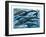 Whales and Dolphins-null-Framed Art Print