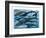 Whales and Dolphins-null-Framed Art Print