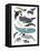 Whales in Hats-Hanna Melin-Framed Premier Image Canvas