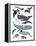 Whales in Hats-Hanna Melin-Framed Premier Image Canvas