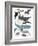 Whales in Hats-Hanna Melin-Framed Giclee Print