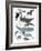 Whales in Hats-Hanna Melin-Framed Giclee Print