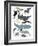 Whales in Hats-Hanna Melin-Framed Giclee Print