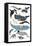 Whales in Hats-Hanna Melin-Framed Stretched Canvas