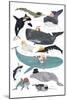 Whales in Hats-Hanna Melin-Mounted Art Print