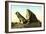 Whales Jaw, Dogtown Common, Gloucester-null-Framed Art Print