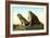 Whales Jaw, Dogtown Common, Gloucester-null-Framed Art Print