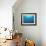 Whales Swimming in Sea-null-Framed Photographic Print displayed on a wall