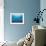 Whales Swimming in Sea-null-Framed Photographic Print displayed on a wall