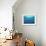 Whales Swimming in Sea-null-Framed Photographic Print displayed on a wall