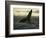 Whales Tale-Art Wolfe-Framed Photographic Print