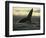 Whales Tale-Art Wolfe-Framed Photographic Print