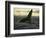 Whales Tale-Art Wolfe-Framed Photographic Print