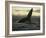 Whales Tale-Art Wolfe-Framed Photographic Print