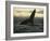 Whales Tale-Art Wolfe-Framed Photographic Print