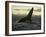 Whales Tale-Art Wolfe-Framed Photographic Print