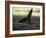 Whales Tale-Art Wolfe-Framed Photographic Print