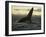 Whales Tale-Art Wolfe-Framed Photographic Print