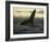 Whales Tale-Art Wolfe-Framed Photographic Print