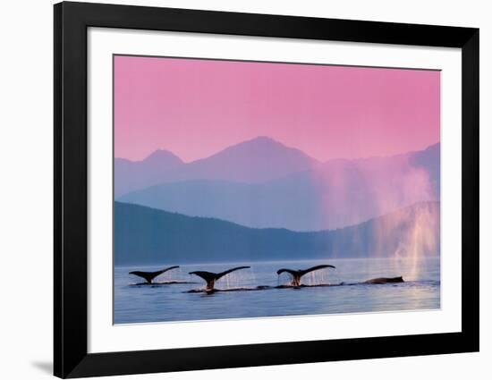 Whales-null-Framed Art Print