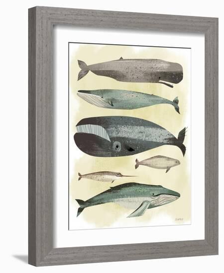 Whales-Pete Oswald-Framed Art Print