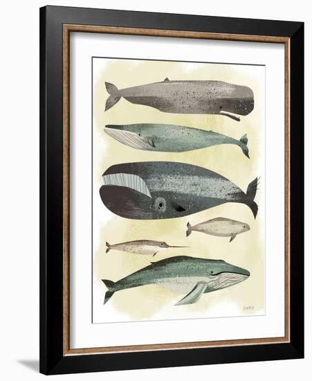 Whales-Pete Oswald-Framed Art Print