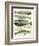 Whales-Pete Oswald-Framed Premium Giclee Print