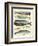 Whales-Pete Oswald-Framed Premium Giclee Print