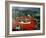 Whaling, Faroe Islands (Faeroes), North Atlantic-Adam Woolfitt-Framed Photographic Print