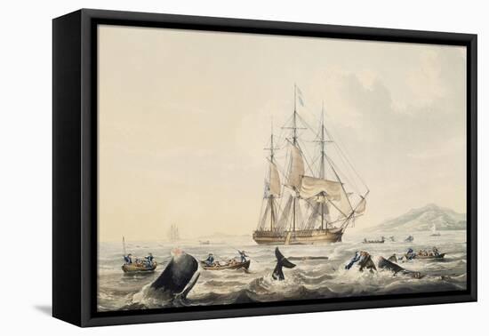 Whaling in South Seas, by William John Huggins (1781-1845), 44X57 Cm, 19th Century-William John Huggins-Framed Premier Image Canvas