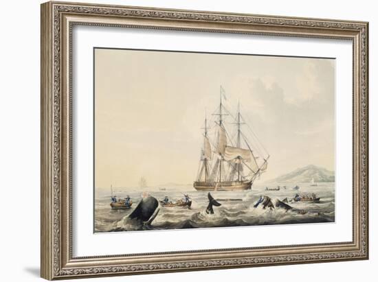 Whaling in South Seas, by William John Huggins (1781-1845), 44X57 Cm, 19th Century-William John Huggins-Framed Giclee Print