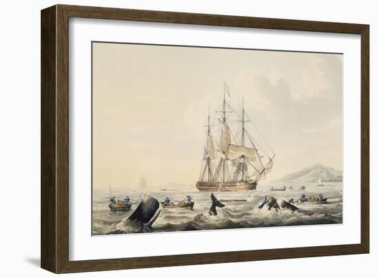 Whaling in South Seas, by William John Huggins (1781-1845), 44X57 Cm, 19th Century-William John Huggins-Framed Giclee Print