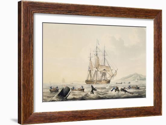 Whaling in South Seas, by William John Huggins (1781-1845), 44X57 Cm, 19th Century-William John Huggins-Framed Giclee Print