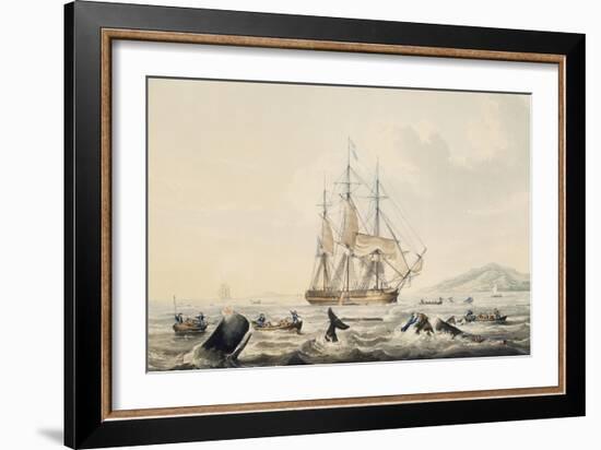 Whaling in South Seas, by William John Huggins (1781-1845), 44X57 Cm, 19th Century-William John Huggins-Framed Giclee Print
