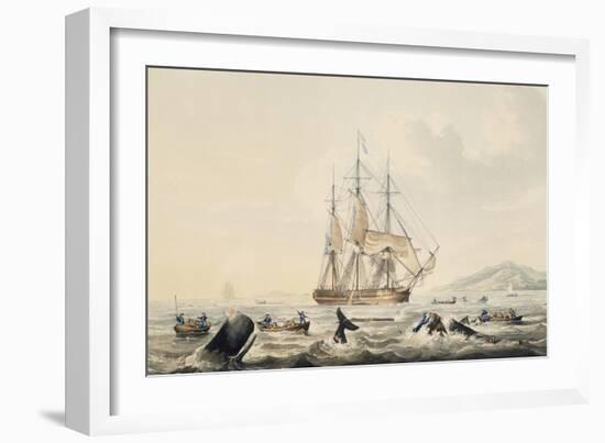 Whaling in South Seas, by William John Huggins (1781-1845), 44X57 Cm, 19th Century-William John Huggins-Framed Giclee Print