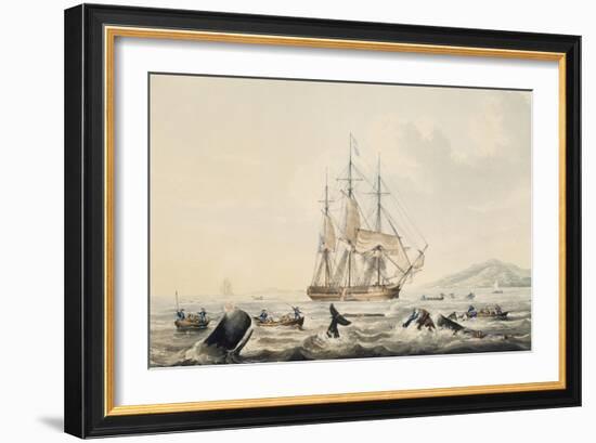 Whaling in South Seas, by William John Huggins (1781-1845), 44X57 Cm, 19th Century-William John Huggins-Framed Giclee Print