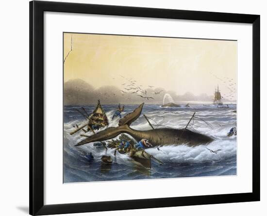 Whaling in South Seas-null-Framed Giclee Print