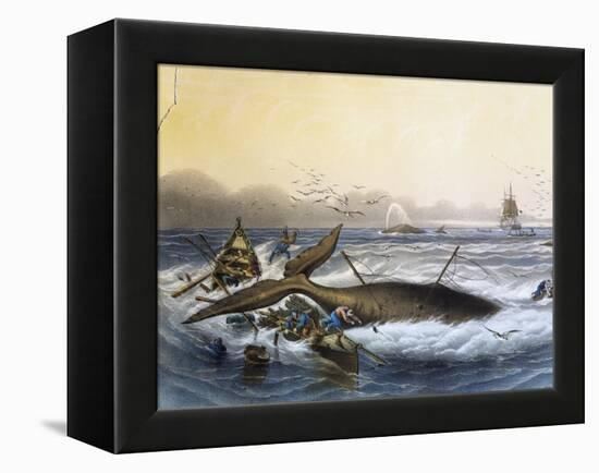 Whaling in South Seas-null-Framed Premier Image Canvas