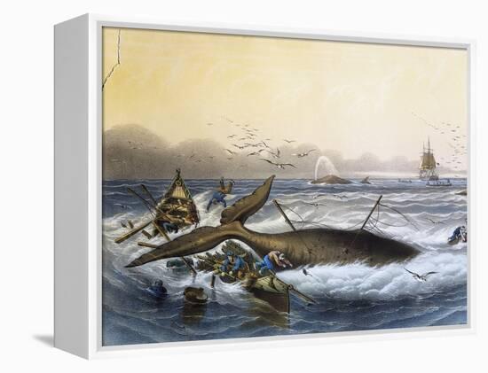 Whaling in South Seas-null-Framed Premier Image Canvas