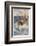 Whaling in the Pacific-Alec Ball-Framed Photographic Print