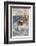 Whaling in the Pacific-Alec Ball-Framed Photographic Print