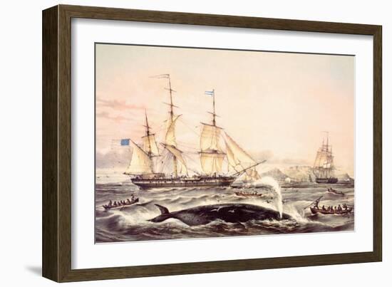 Whaling Off the Cape of Good Hope-Louis Lebreton-Framed Premium Giclee Print