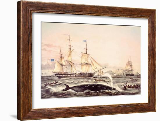 Whaling Off the Cape of Good Hope-Louis Lebreton-Framed Premium Giclee Print