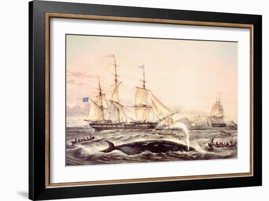 Whaling Off the Cape of Good Hope-Louis Lebreton-Framed Premium Giclee Print