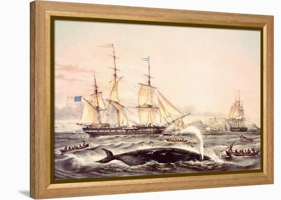 Whaling Off the Cape of Good Hope-Louis Lebreton-Framed Premier Image Canvas