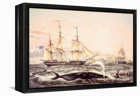 Whaling Off the Cape of Good Hope-Louis Lebreton-Framed Premier Image Canvas