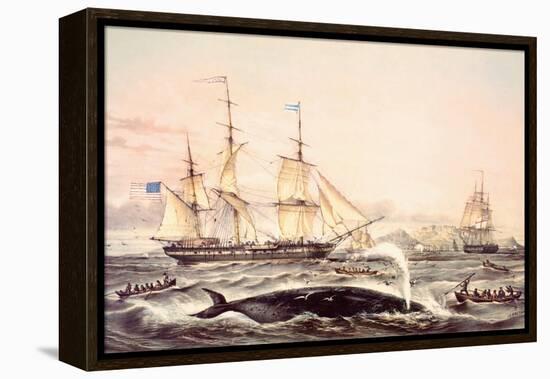 Whaling Off the Cape of Good Hope-Louis Lebreton-Framed Premier Image Canvas